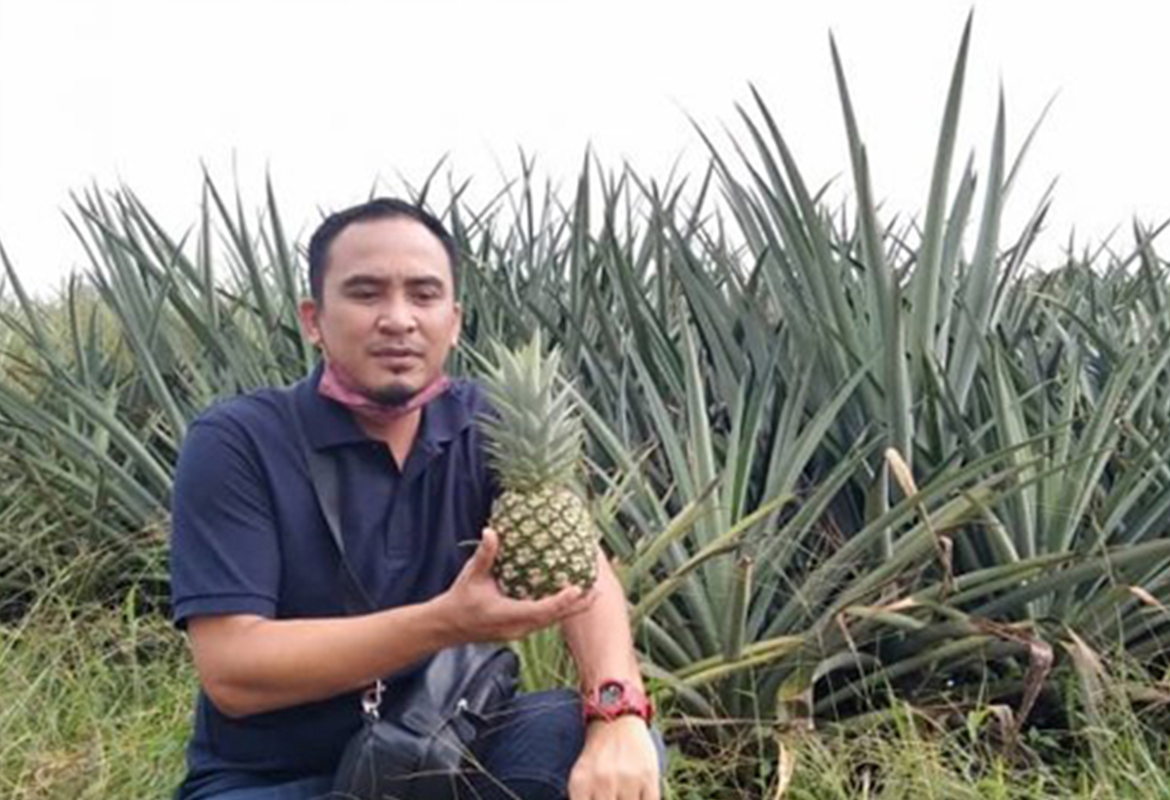 Projek Penamaan Nanas Md2 – Usaha Praktikal Dan Pendedahan Kepada Alumni UiTM Sarawak