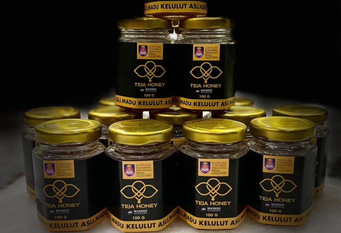TEJA HONEY UiTM - Madu Kelulut Asli bukan madu biasa