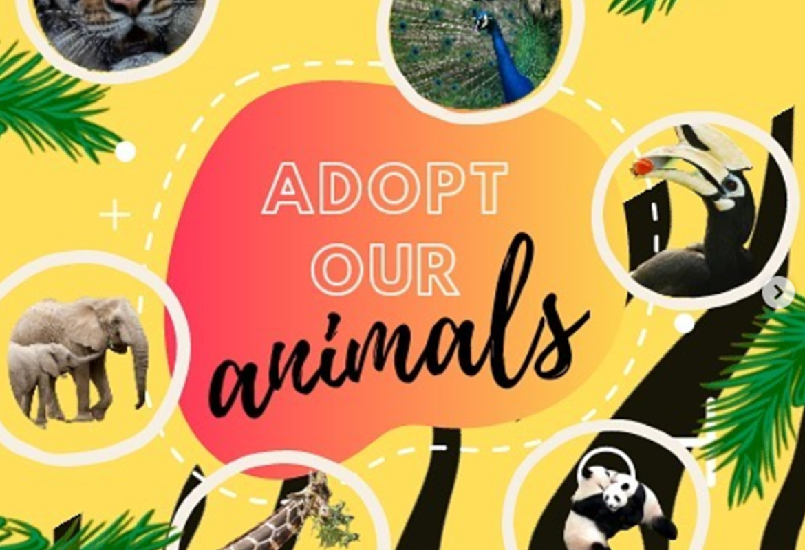 UiTM Students Championed Animal Adoption