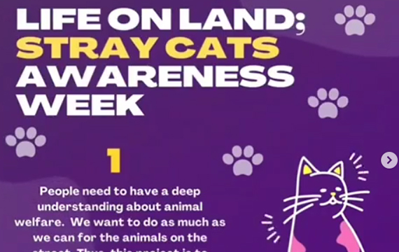 Raising Awareness Through a Public Outreach